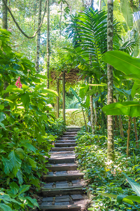 Tropical Penang Island, Malaysia