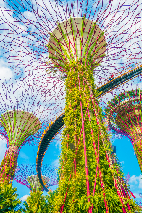 Visiting Singapore is like time-traveling to the future. Here's a list of all the things you HAVE to see in this ultra modern city -- only in Singapore!