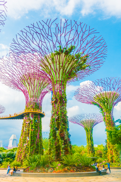 Visiting Singapore is like time-traveling to the future. Here's a list of all the things you HAVE to see in this ultra modern city -- only in Singapore!