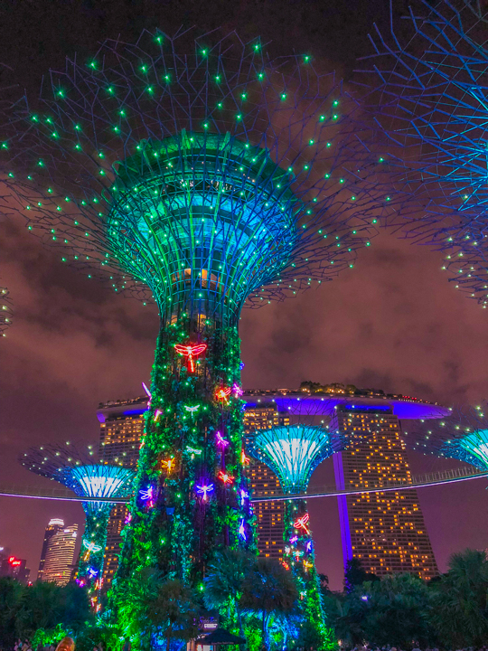 Visiting Singapore is like time-traveling to the future. Here's a list of all the things you HAVE to see in this ultra modern city -- only in Singapore!