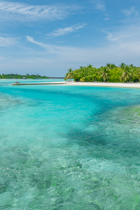 Pure luxury on your own private island in the Maldives at Naladhu Private Island... Dream honeymoon!!