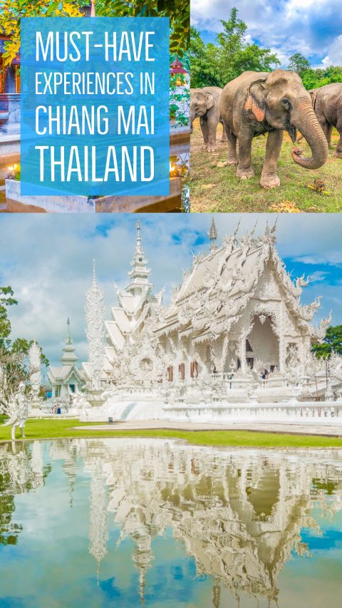 Best Day Trips from Chiang Mai, Thailand -- The White Temple, The Black House, The Golden Triangle, Hiking with Elephants and more! Chiang Mai is a MUST see in Thailand!!