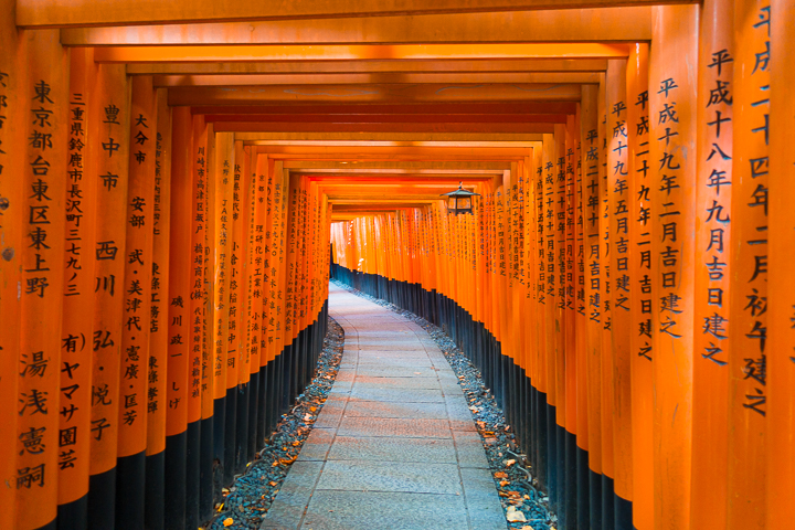 Best things to do and see in Kyoto, Japan