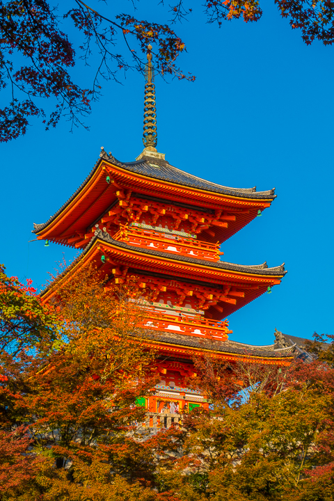 Best things to do and see in Kyoto, Japan