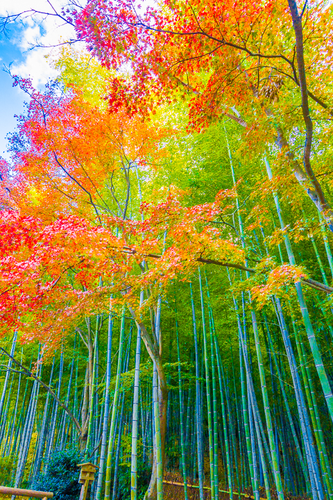 Most Beautiful Places In Japan Kyoto Nachi Falls Kevin Amanda