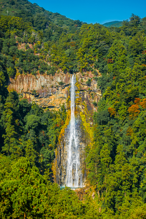 Best things to do and see in Kyoto, Japan