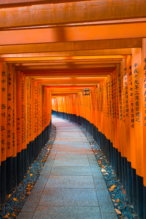 Best things to do and see in Kyoto, Japan