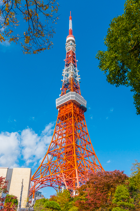 First time in Tokyo? Here's what you absolutely need to see and do!