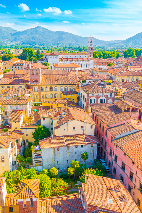 Why you should DEFINITELY go see The Leaning Tower of Pisa!!! Don't skip this just because you're afraid it's too touristy and there's nothing else to do there besides take a picture and leave.