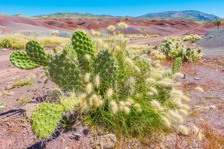 The Ultimate Guide to Sucre, Bolivia -- what to do, where to eat, and how to hike to the Maragua Crater!