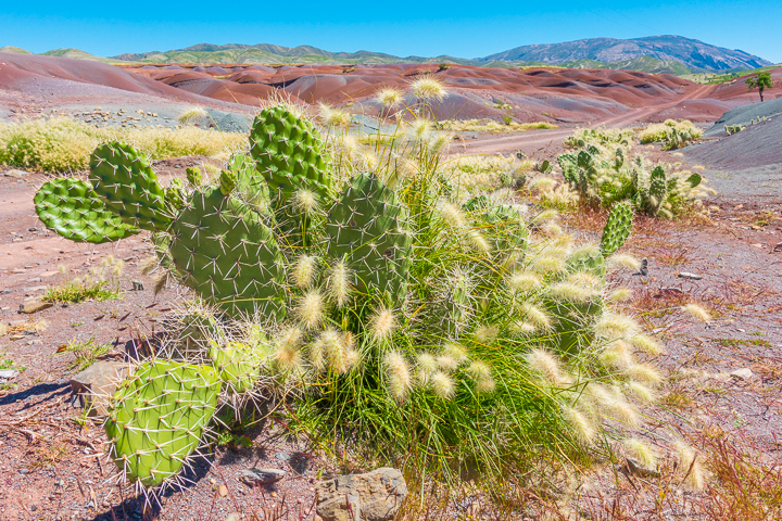 The Ultimate Guide to Sucre, Bolivia -- The best things to do and see, where to eat, plus how to hike to the Maragua Crater!