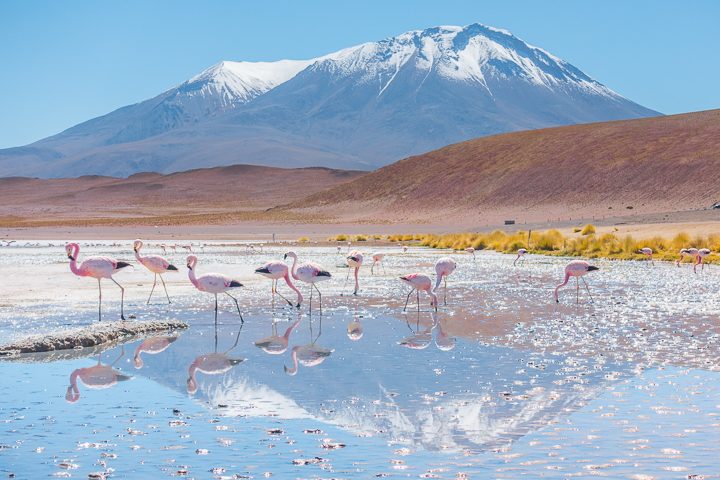 How to visit the Uyuni Salt Flat in Bolvia. It's easier than you think! Here's everything you need to know... Salar de Uyuni, Bolivia