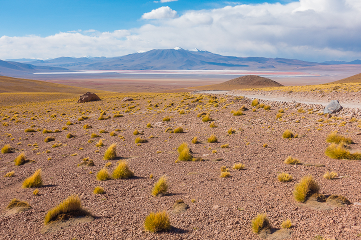 Salt Flats Bolivia — Laguna Colorada near Salar De Uyuni