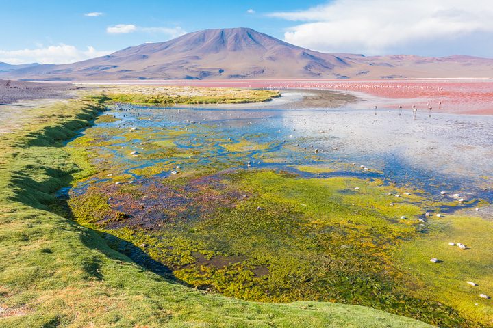 How to visit the Uyuni Salt Flat in Bolvia. It's easier than you think! Here's everything you need to know... Salar de Uyuni, Bolivia