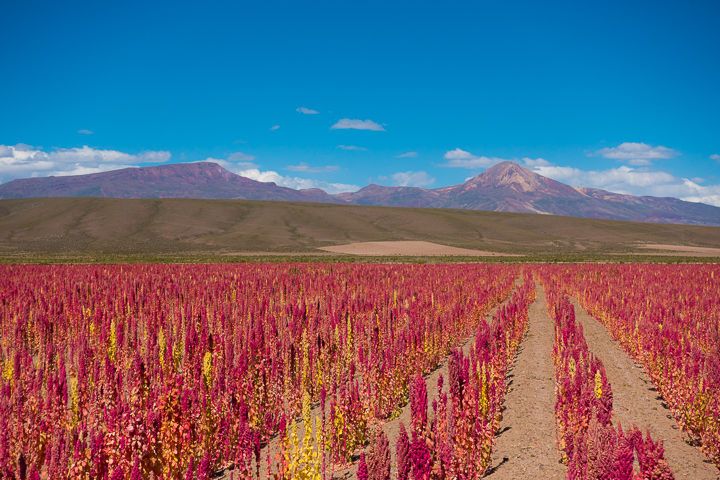 How to Visit the Uyuni Salt Flats