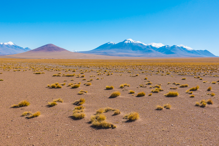 Salt Flats Bolivia — Salar De Uyuni