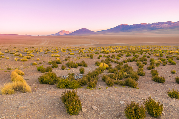 Salt Flats Bolivia — Sunset in the desert at Salar De Uyuni