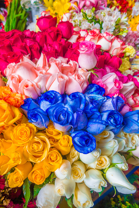 Colorful roses at San Pedro Market in Cusco Peru — Best Things To Do in Cusco Peru