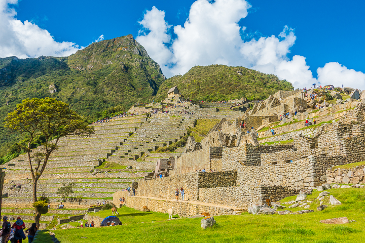 Machu Picchu