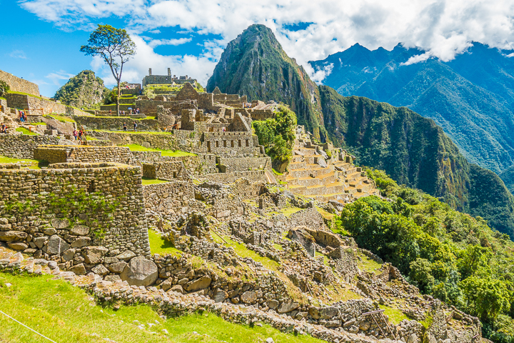 Machu Picchu