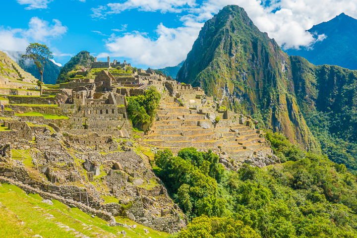 Machu Picchu