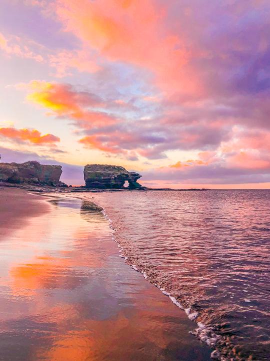 Ultimate Guide to the Galapagos Islands! Where to swim with sea lions, penguins, sea turtles, sharks, giant manta rays, and where to find the volcanic black and red sand beaches. #Santiago #Rabida #Bartolomé #Ecuador