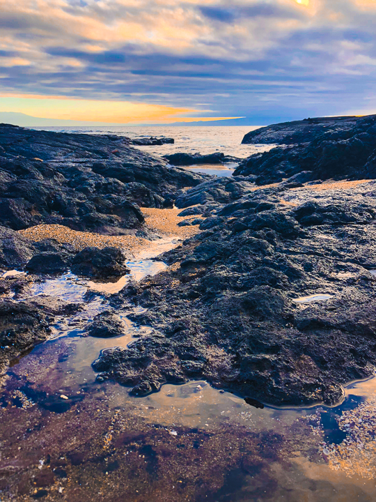 Ultimate Guide to the Galapagos Islands! Where to swim with sea lions, penguins, sea turtles, sharks, giant manta rays, and where to find the volcanic black and red sand beaches. #Santiago #Rabida #Bartolomé #Ecuador