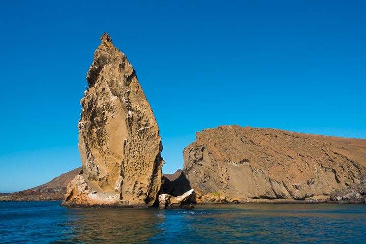 Ultimate Guide to the Galapagos Islands! Where to swim with sea lions, penguins, sea turtles, sharks, giant manta rays, and where to find the volcanic black and red sand beaches. #Santiago #Rabida #Bartolomé #Ecuador