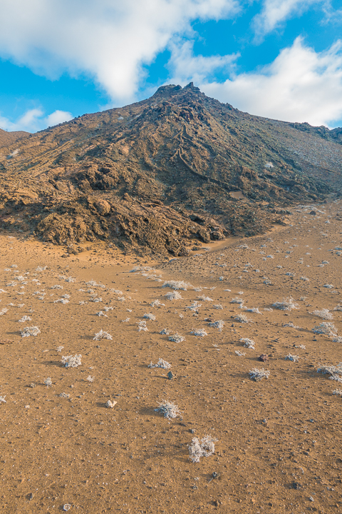 Ultimate Guide to the Galapagos Islands! Where to swim with sea lions, penguins, sea turtles, sharks, giant manta rays, and where to find the volcanic black and red sand beaches. #Santiago #Rabida #Bartolomé #Ecuador