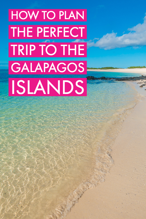 Ultimate Guide to the Galapagos Islands! Where to see the most animals, how many days to spend in the Galapagos Islands, and the best way to visit the Galapagos Islands. #Santiago #Rabida #Bartolomé #Ecuador #santacruz #genovesa