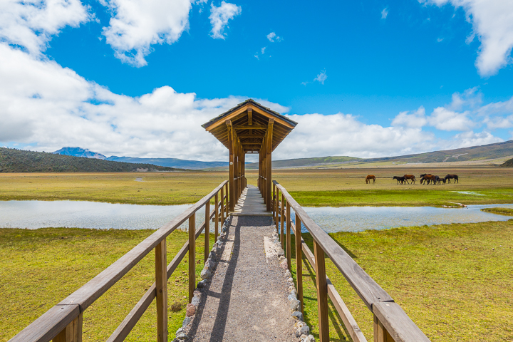 Cotopaxi National Park