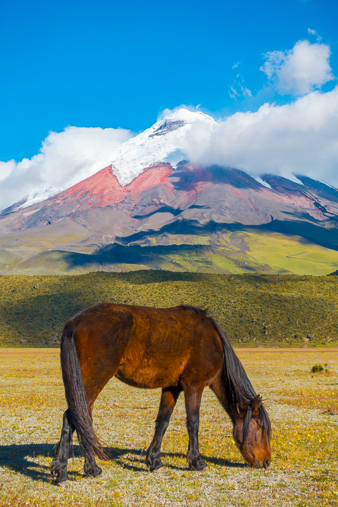 Cotopaxi National Park