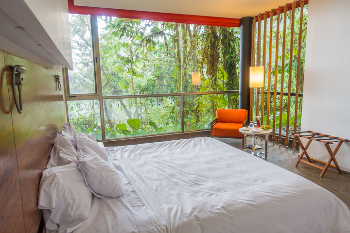 Mashpi Lodge in Ecuador is a bird watcher’s paradise!! Come see the colorful toucans, hummingbirds, and all kinds of exotic birds in the cloud forest of Ecuador.