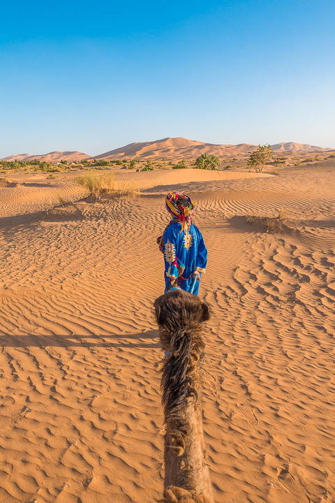 Morocco Bucket List: Spend a Night in the Sahara Desert!!! Take a sunset camel ride to a luxury camp deep in the dunes for the ultimate Sahara Desert experience. 