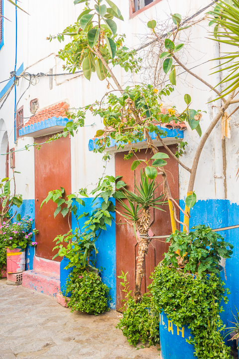 Asilah, Morocco is a funky, artsy seaside town in Morocco. Here's a photo tour of the medina and guide to the most beautiful, Instagram worthy spots.