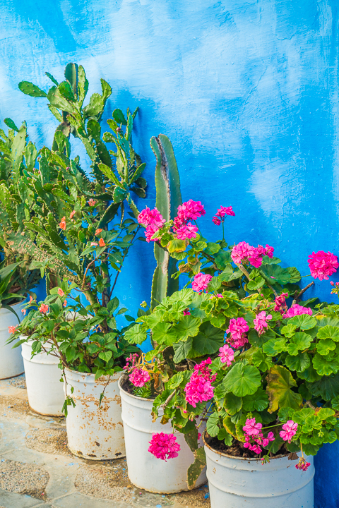 Asilah, Morocco is a funky, artsy seaside town in Morocco. Here's a photo tour of the medina and guide to the most beautiful, Instagram worthy spots.