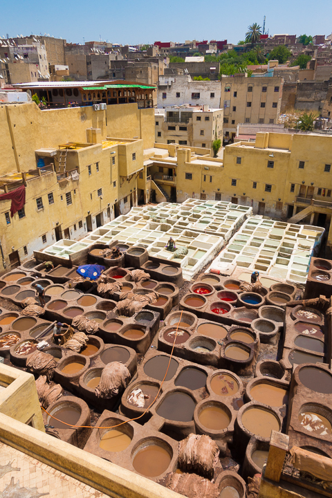 Top 10 Things To Do in Fes, Morocco. How to visit famous leather tanneries without getting scammed, and take a day trip to an ancient Roman city! #fes #morocco #tannery #leather #volubilis #meknes