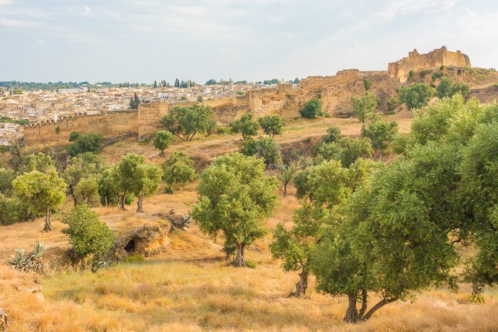 Top 10 Things To Do in Fes, Morocco. How to visit famous leather tanneries without getting scammed, and take a day trip to an ancient Roman city! #fes #morocco #tannery #leather #volubilis #meknes