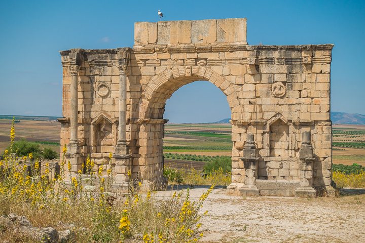 Top 10 Things To Do in Fes, Morocco. How to visit famous leather tanneries without getting scammed, and take a day trip to an ancient Roman city! #fes #morocco #tannery #leather #volubilis #meknes