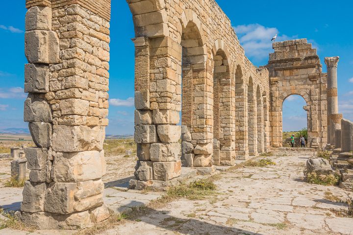 Top 10 Things To Do in Fes, Morocco. How to visit famous leather tanneries without getting scammed, and take a day trip to an ancient Roman city! #fes #morocco #tannery #leather #volubilis #meknes