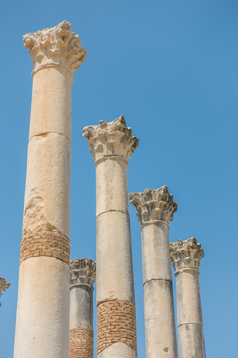 Top 10 Things To Do in Fes, Morocco. How to visit famous leather tanneries without getting scammed, and take a day trip to an ancient Roman city! #fes #morocco #tannery #leather #volubilis #meknes