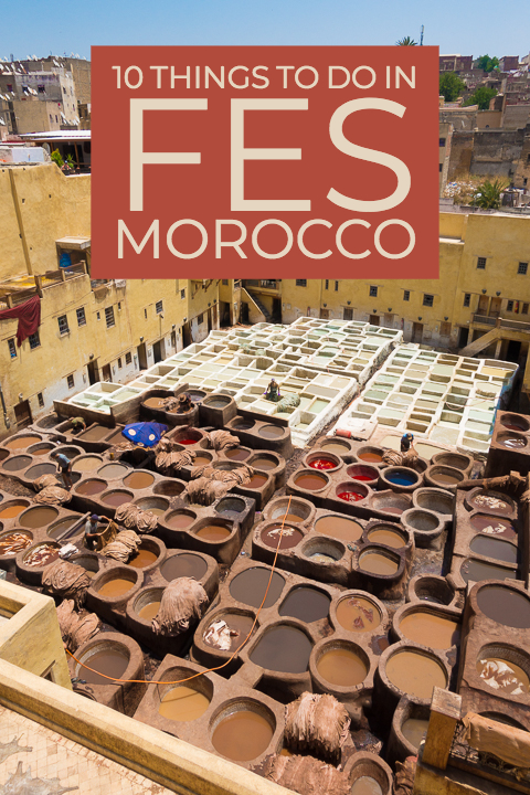 Top 10 Things To Do in Fes, Morocco. How to visit famous leather tanneries without getting scammed, and take a day trip to an ancient Roman city! #fes #morocco #tannery #leather #volubilis #meknes