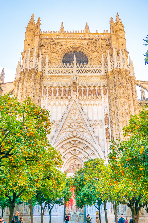 Catedral de Sevilla (Seville Cathedral) in Seville Spain