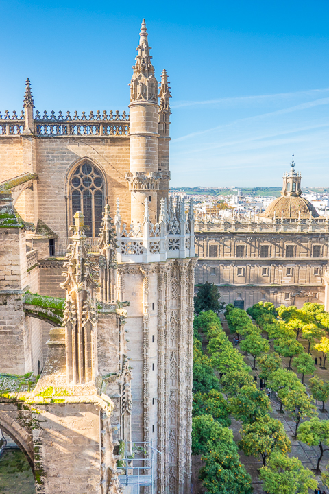 View from Giralda Tower at Seville Cathedral in Seville Spain