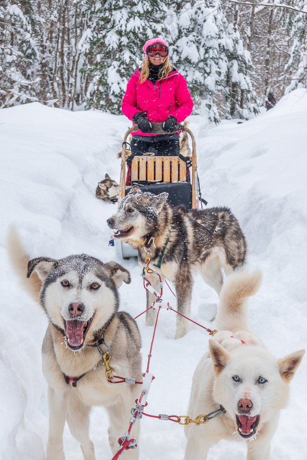 Dog Sledding Quebec City