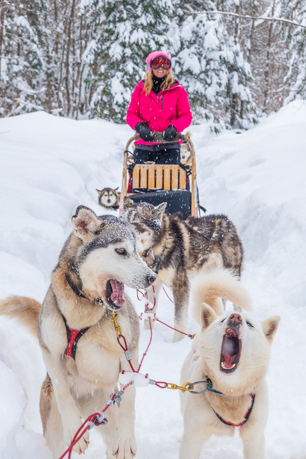 Dog Sledding Quebec City