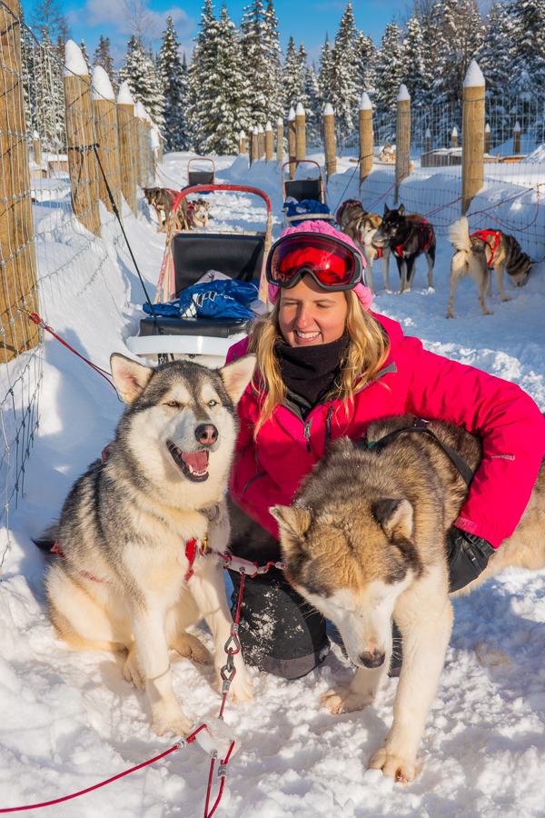 Dog Sledding Quebec City