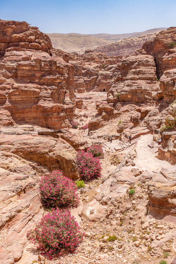 Petra Jordan