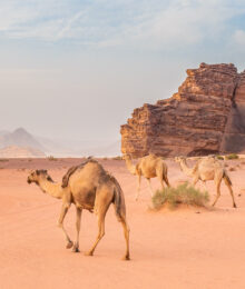 Wadi Rum