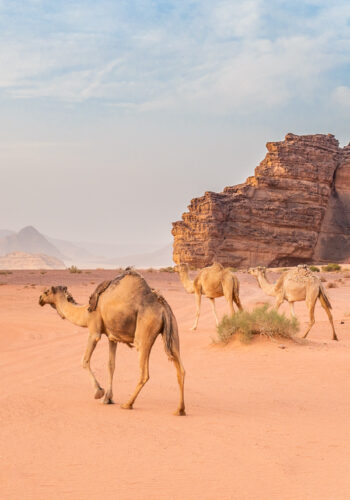 Wadi Rum